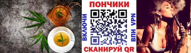Купить закладки  Кыштым  Cannafood конопля 