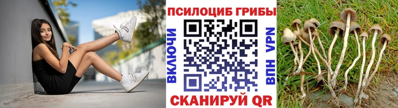 Купить закладки  Кыштым  Галлюциногенные грибы ЛСД 